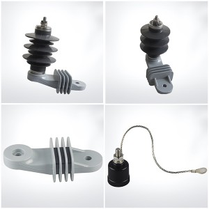 building Electrical equipment  Surge arrester