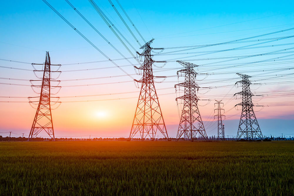 Worldwide Network of Electrical Distributors